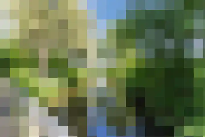 Donizettirode 20 Zoetermeer thumbnail 39