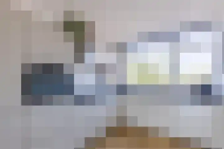 Donizettirode 20 Zoetermeer thumbnail 4