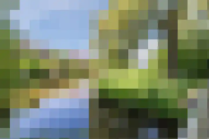 Donizettirode 20 Zoetermeer thumbnail 40