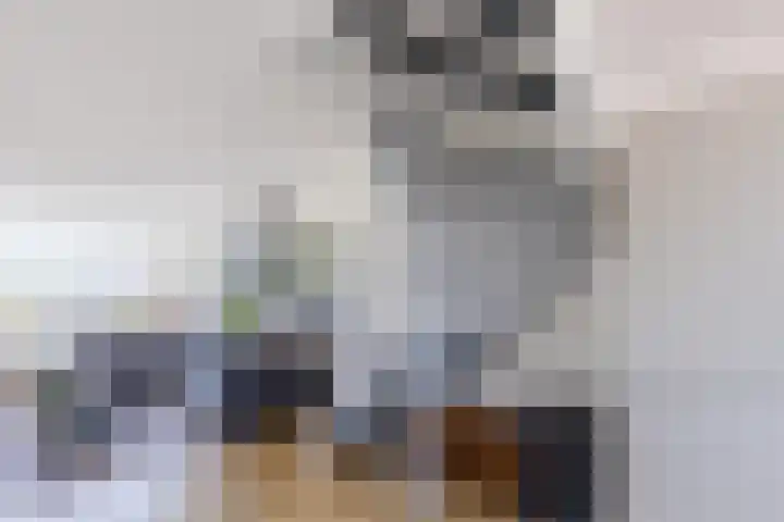 Donizettirode 20 Zoetermeer thumbnail 5
