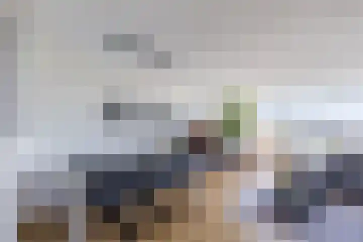 Donizettirode 20 Zoetermeer thumbnail 6