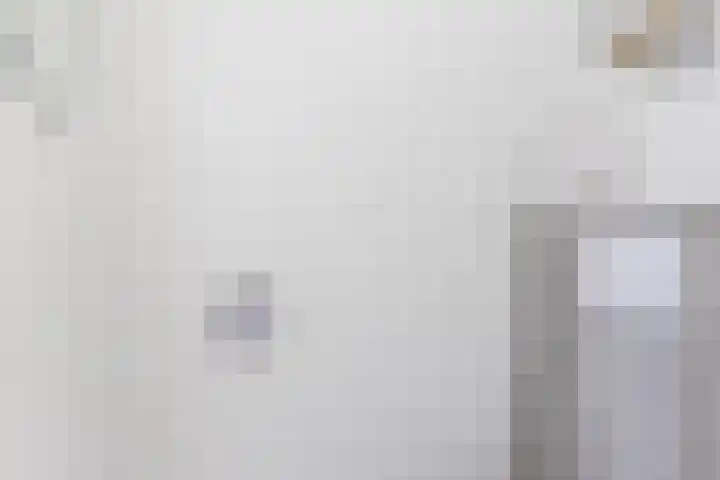 Donizettirode 20 Zoetermeer thumbnail 9