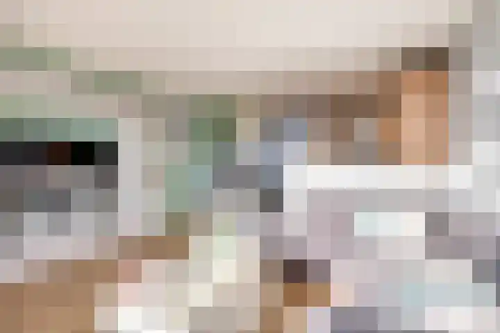 Donizettirode 24 Zoetermeer thumbnail 13