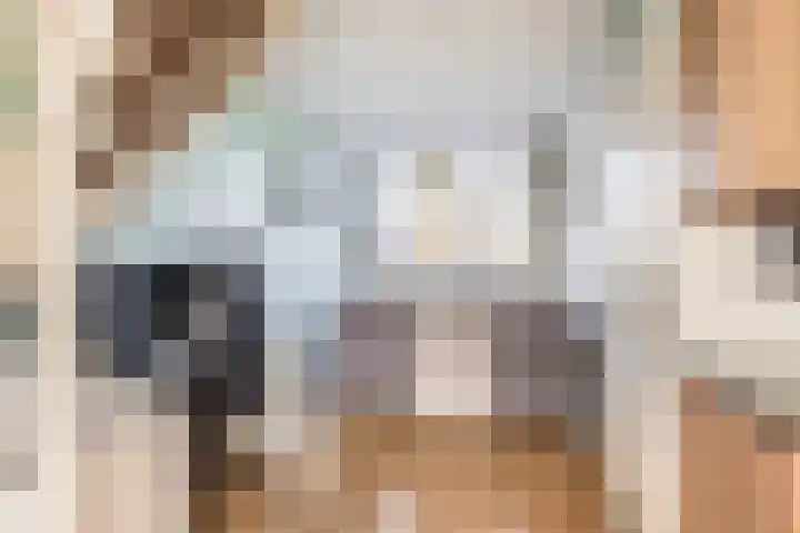 Donizettirode 24 Zoetermeer thumbnail 14