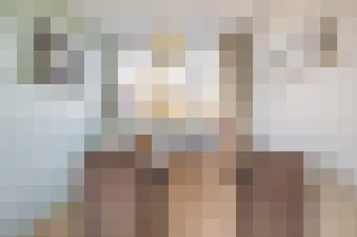 Donizettirode 24 Zoetermeer thumbnail 15