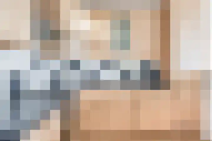 Donizettirode 24 Zoetermeer thumbnail 16