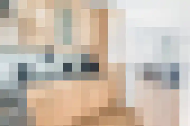 Donizettirode 24 Zoetermeer thumbnail 17