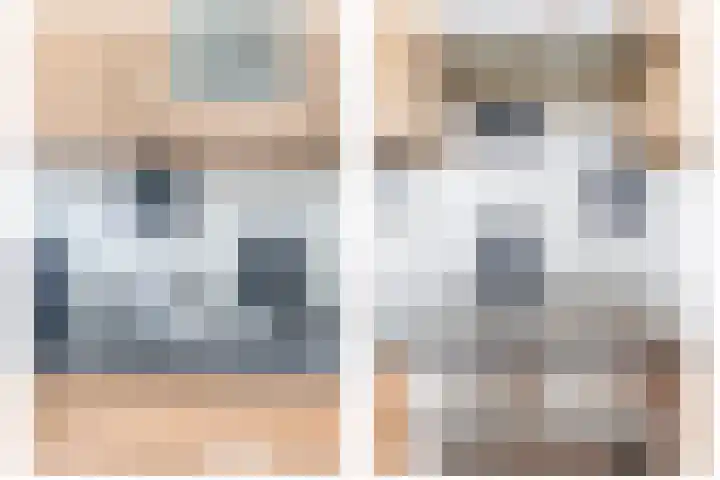 Donizettirode 24 Zoetermeer thumbnail 18