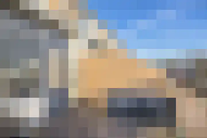 Donizettirode 24 Zoetermeer thumbnail 20