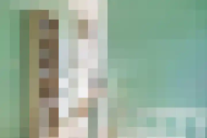 Donizettirode 24 Zoetermeer thumbnail 22