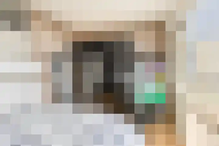 Donizettirode 24 Zoetermeer thumbnail 24