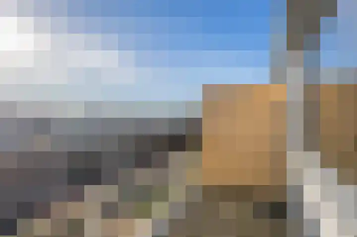 Donizettirode 24 Zoetermeer thumbnail 25