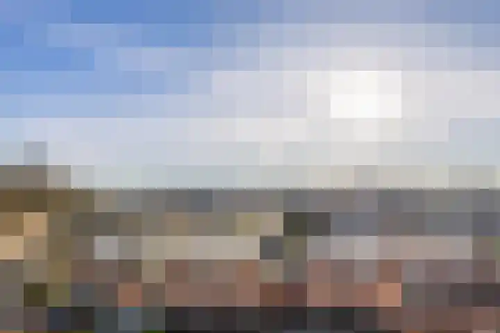 Donizettirode 24 Zoetermeer thumbnail 27