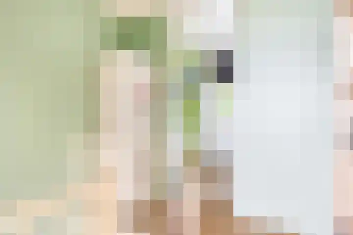 Donizettirode 24 Zoetermeer thumbnail 30