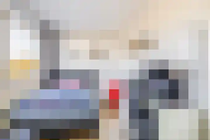 Donizettirode 24 Zoetermeer thumbnail 31