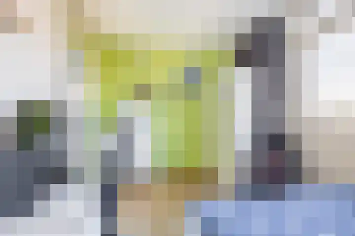 Donizettirode 24 Zoetermeer thumbnail 32