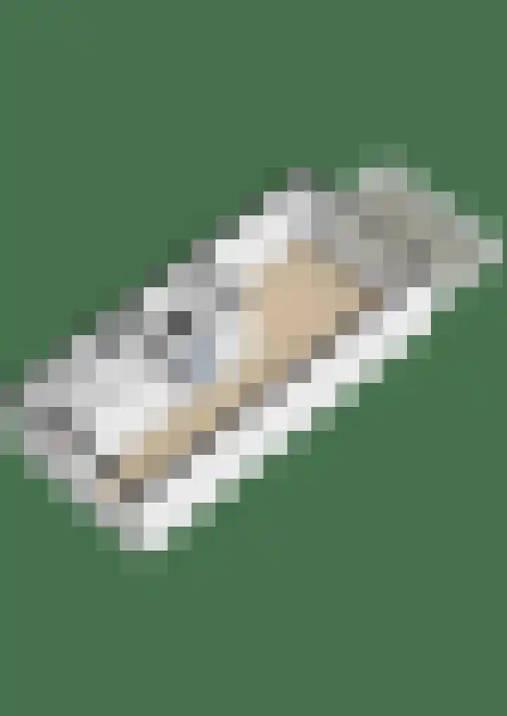 Donizettirode 24 Zoetermeer thumbnail 38