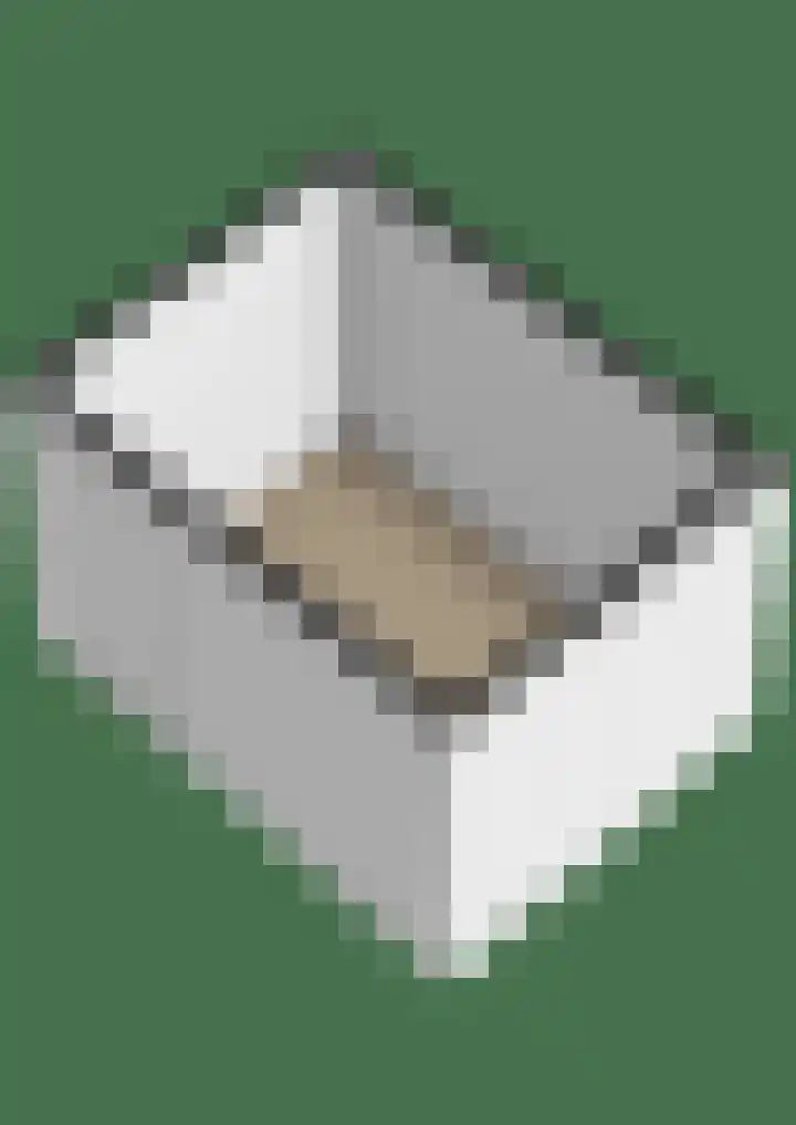 Donizettirode 24 Zoetermeer thumbnail 42
