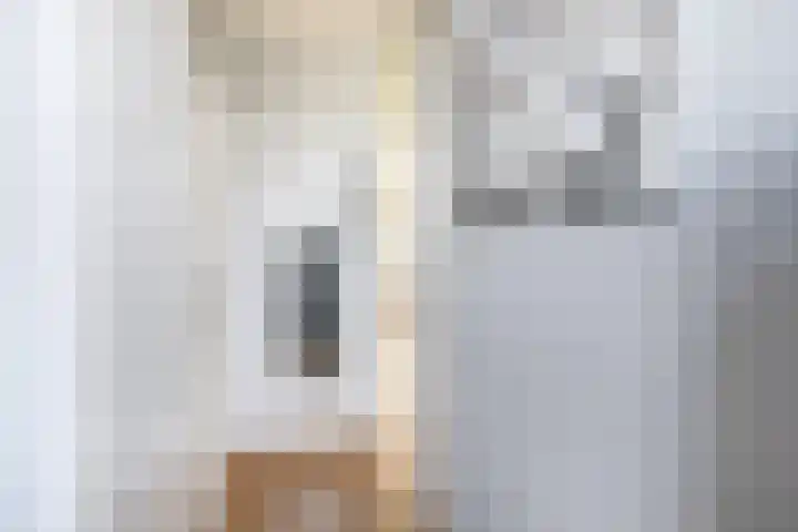 Donizettirode 24 Zoetermeer thumbnail 9