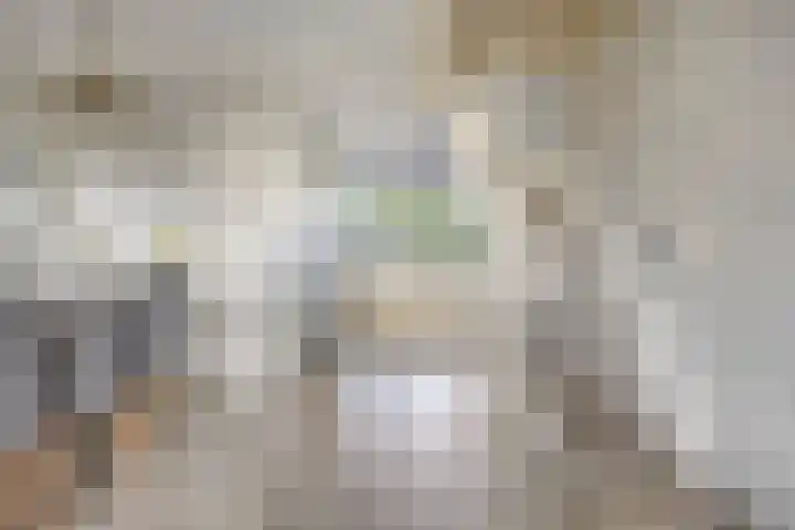 Donizettirode 26 Zoetermeer thumbnail 10