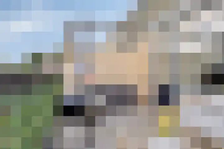 Donizettirode 26 Zoetermeer thumbnail 13