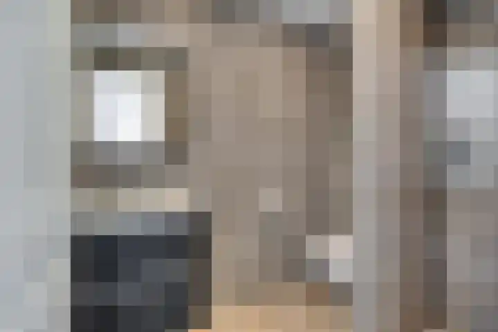 Donizettirode 26 Zoetermeer thumbnail 19