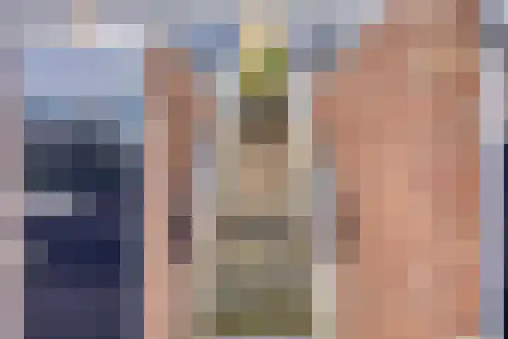 Donizettirode 26 Zoetermeer thumbnail 21