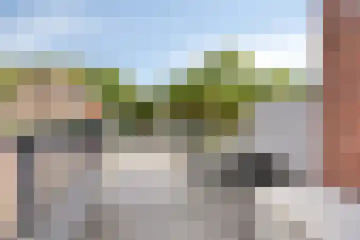 Donizettirode 26 Zoetermeer thumbnail 22