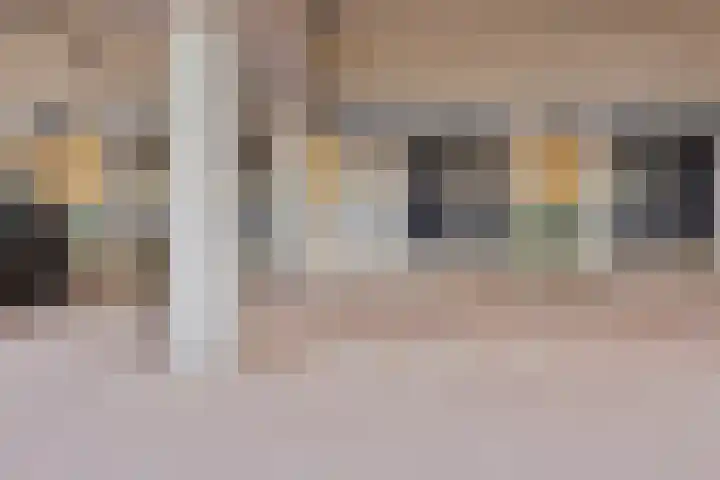 Donizettirode 26 Zoetermeer thumbnail 23