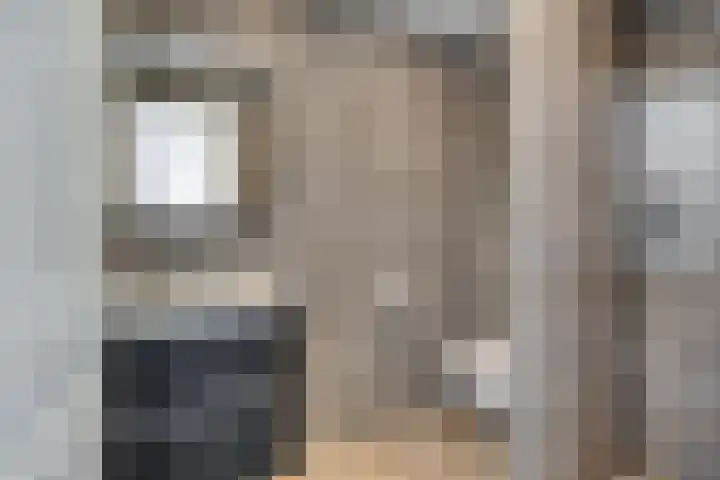 Donizettirode 26 Zoetermeer thumbnail 4