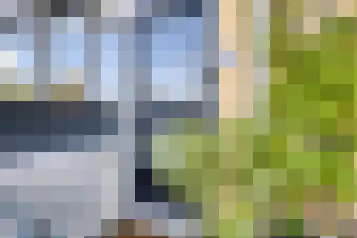 Donizettirode 26 Zoetermeer thumbnail 6
