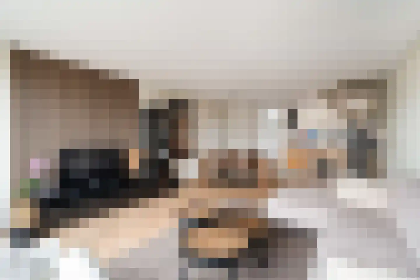 Donizettirode 38 Zoetermeer thumbnail 10