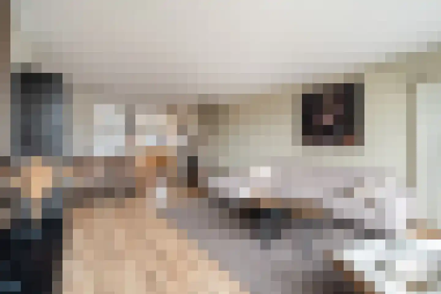 Donizettirode 38 Zoetermeer thumbnail 11