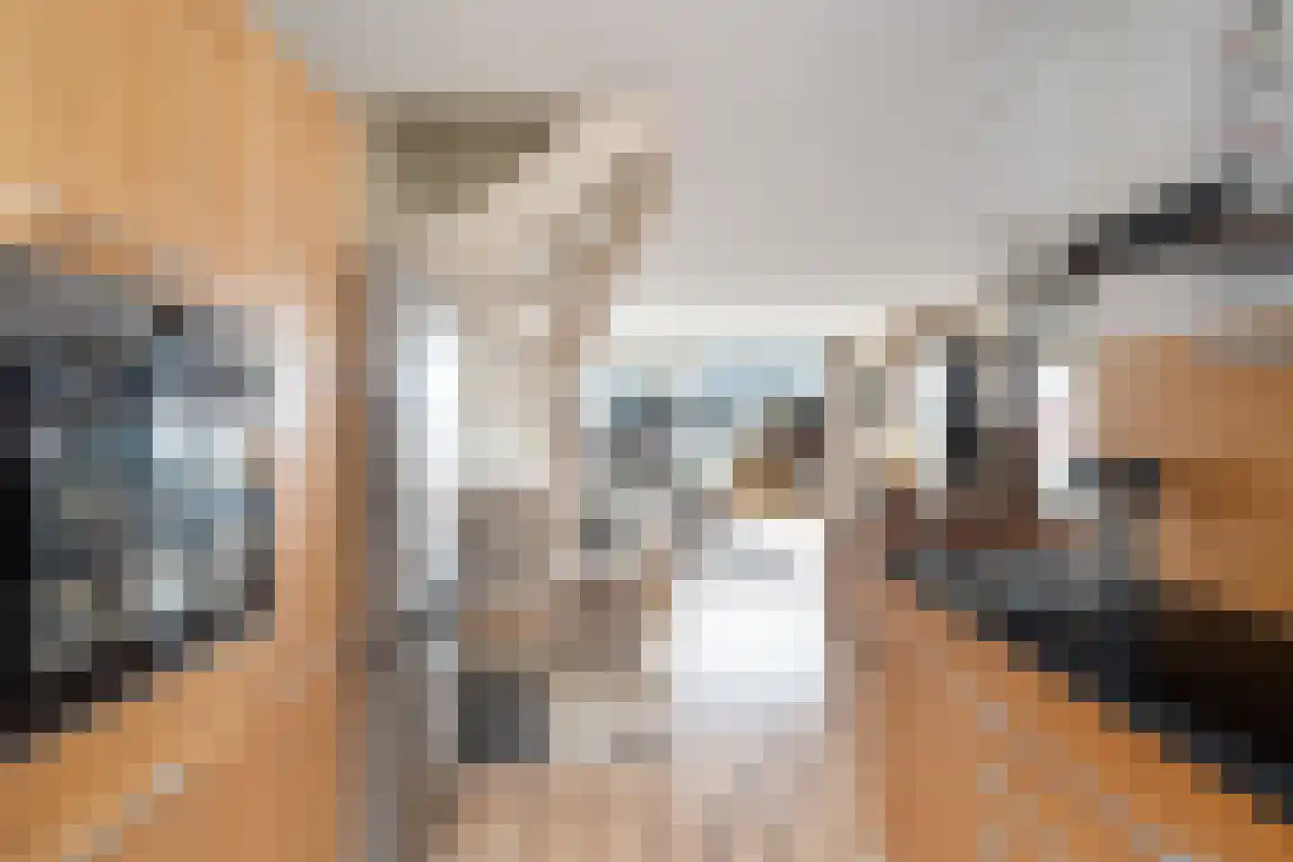 Donizettirode 38 Zoetermeer thumbnail 15