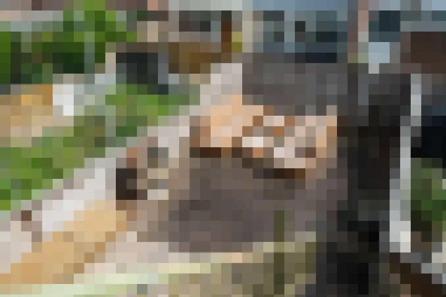 Donizettirode 38 Zoetermeer thumbnail 19