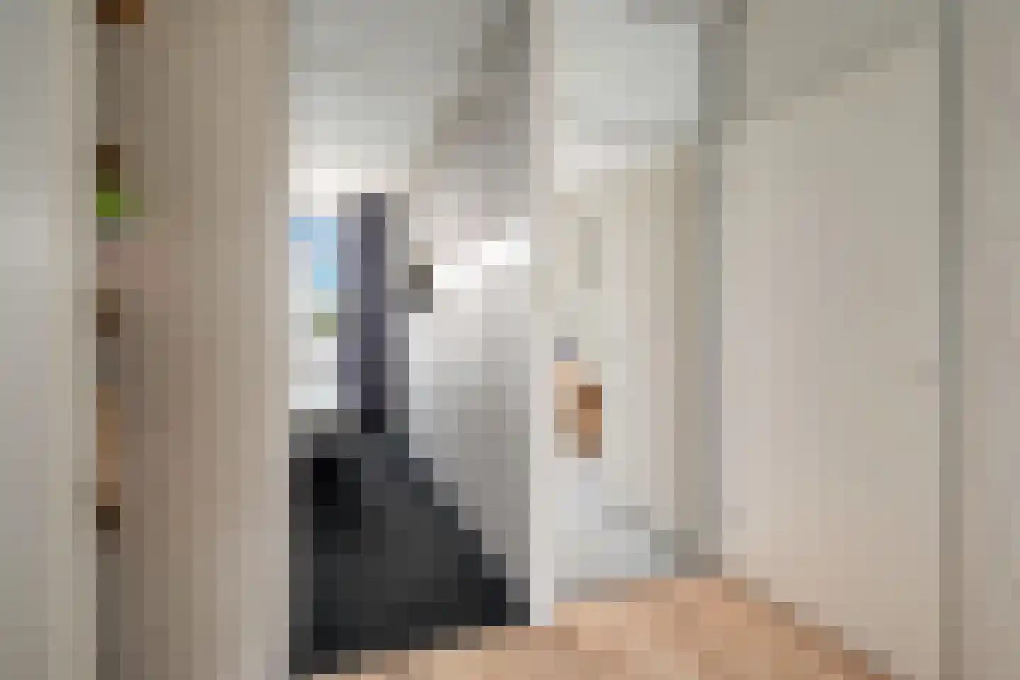 Donizettirode 38 Zoetermeer thumbnail 22