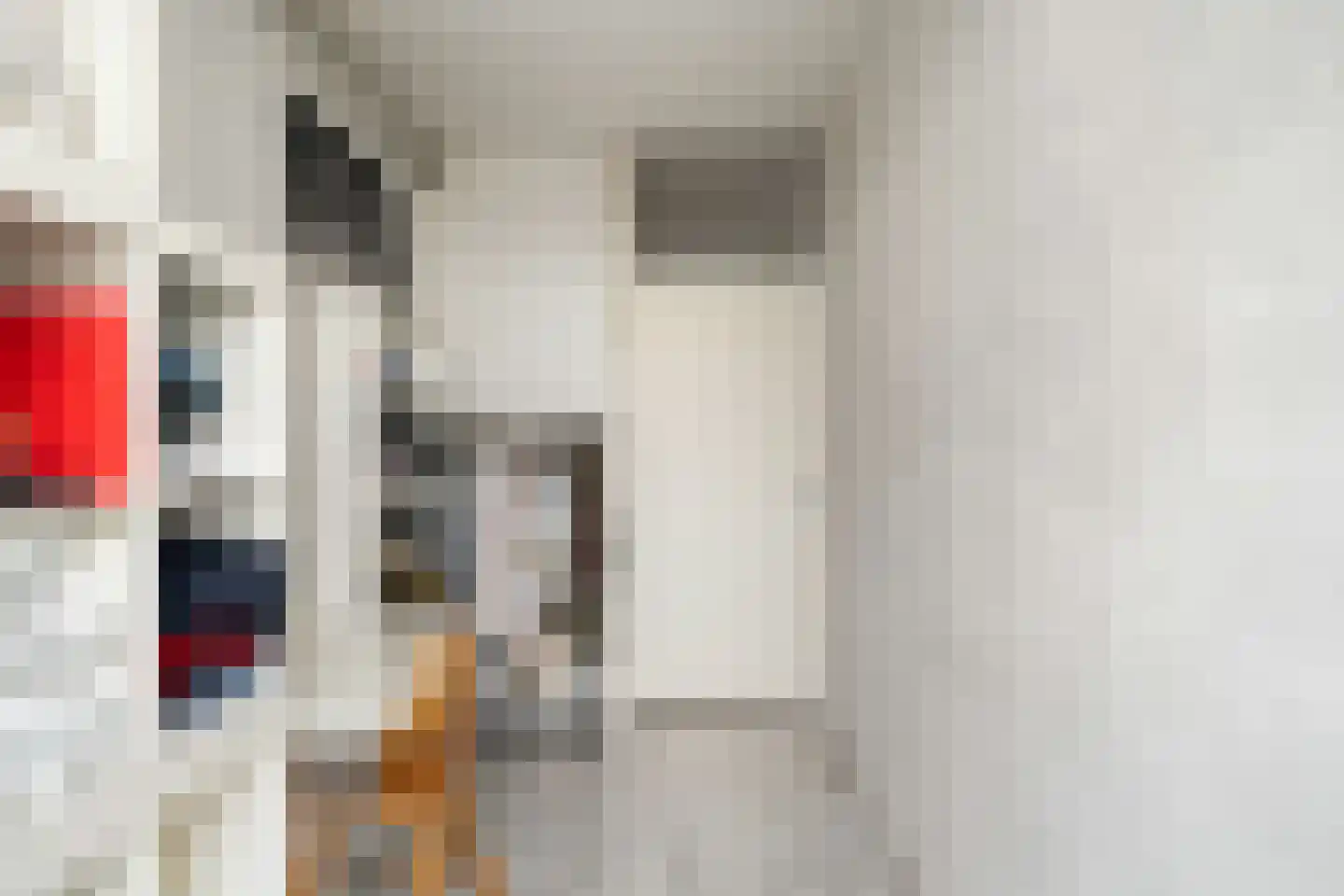 Donizettirode 38 Zoetermeer thumbnail 26