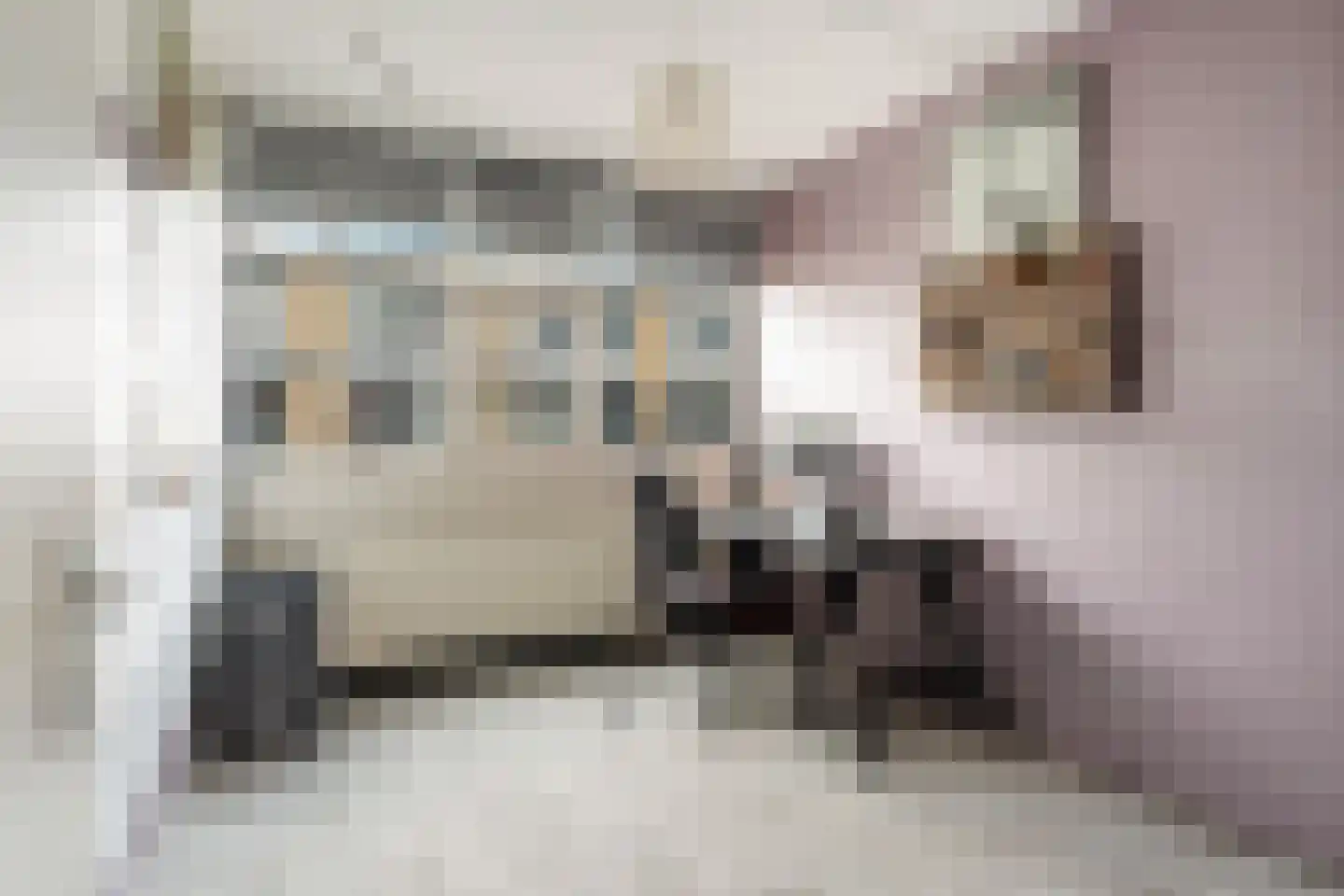 Donizettirode 38 Zoetermeer thumbnail 28