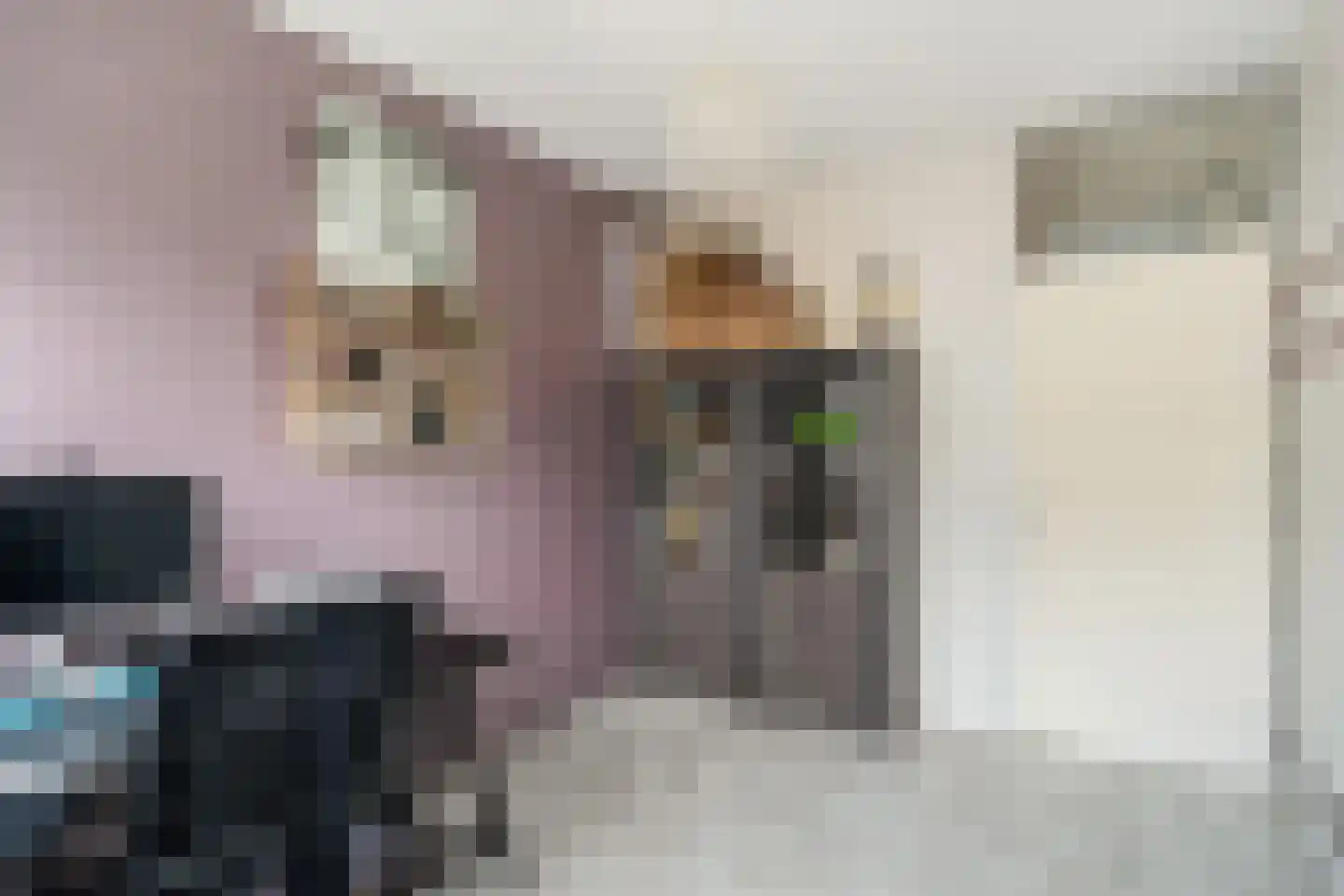 Donizettirode 38 Zoetermeer thumbnail 30