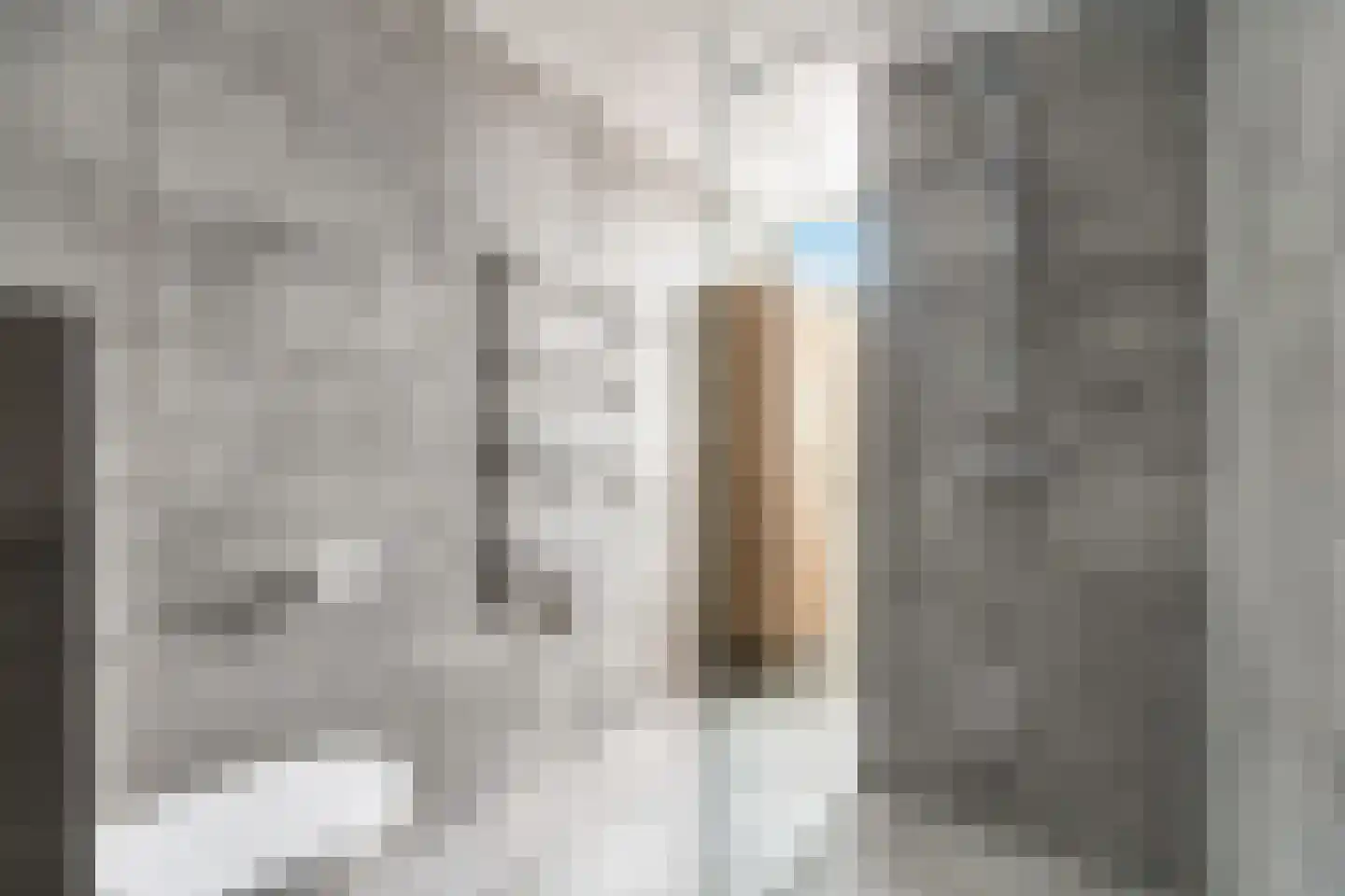 Donizettirode 38 Zoetermeer thumbnail 31