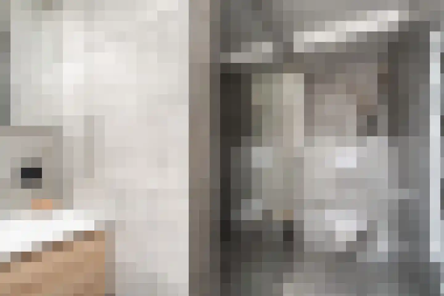 Donizettirode 38 Zoetermeer thumbnail 32