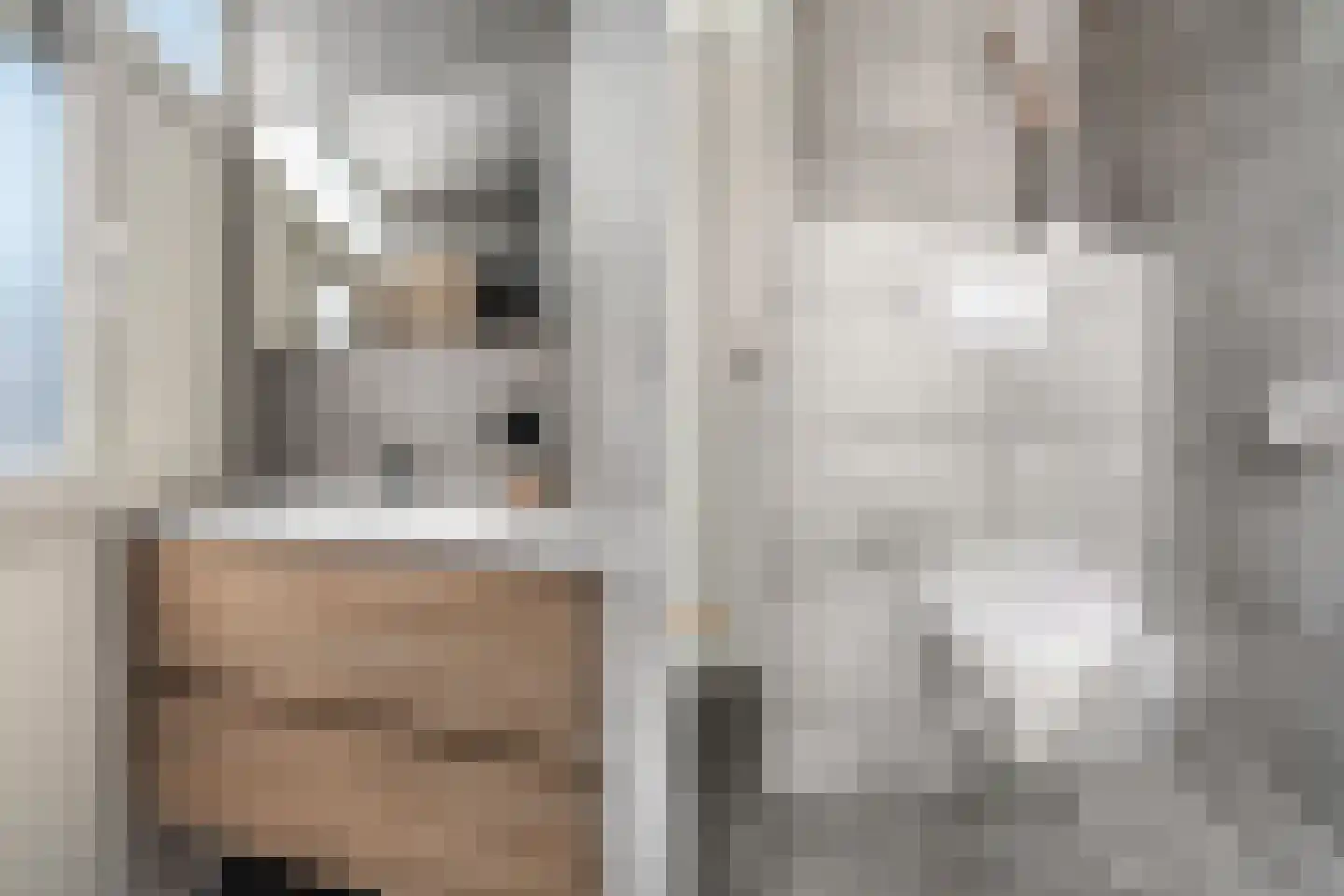 Donizettirode 38 Zoetermeer thumbnail 33