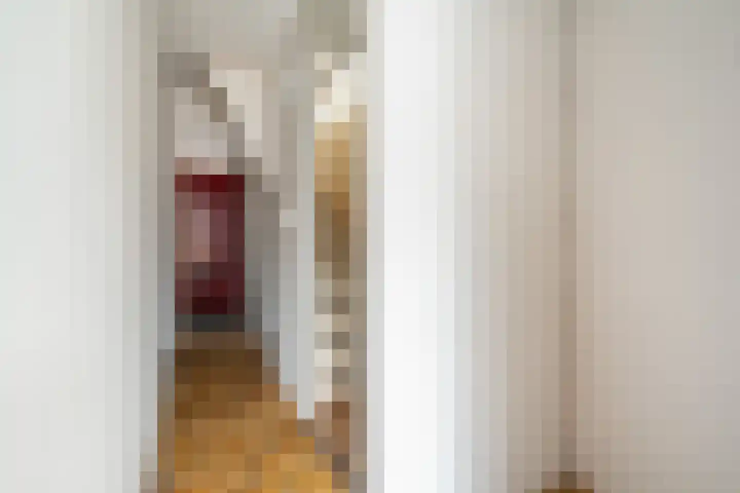 Donizettirode 38 Zoetermeer thumbnail 35