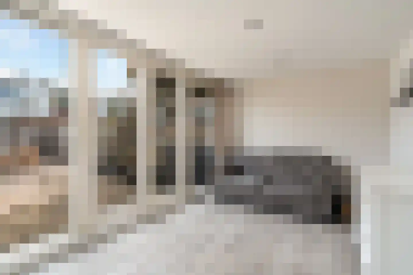 Donizettirode 38 Zoetermeer thumbnail 39