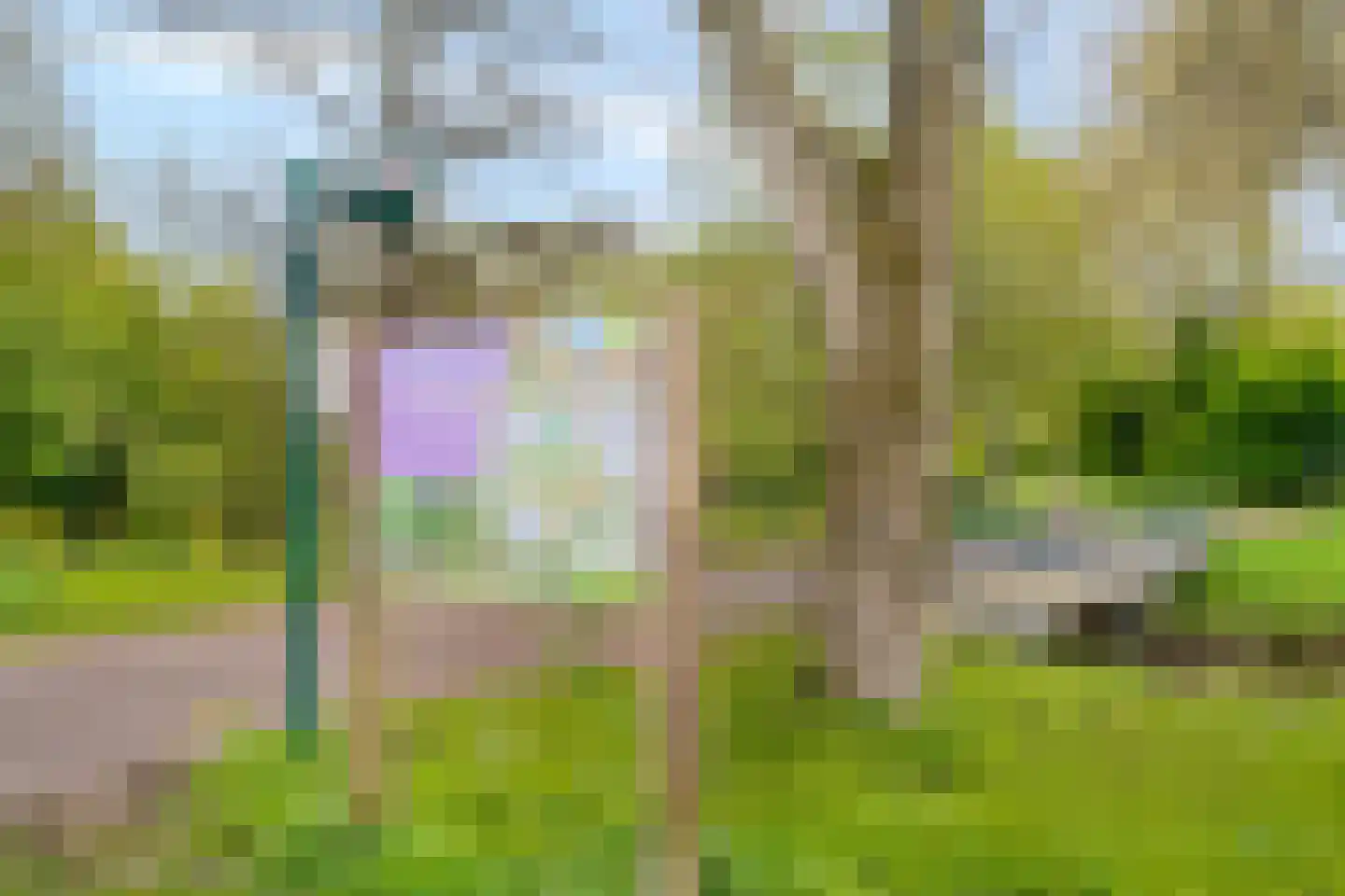 Donizettirode 38 Zoetermeer thumbnail 44
