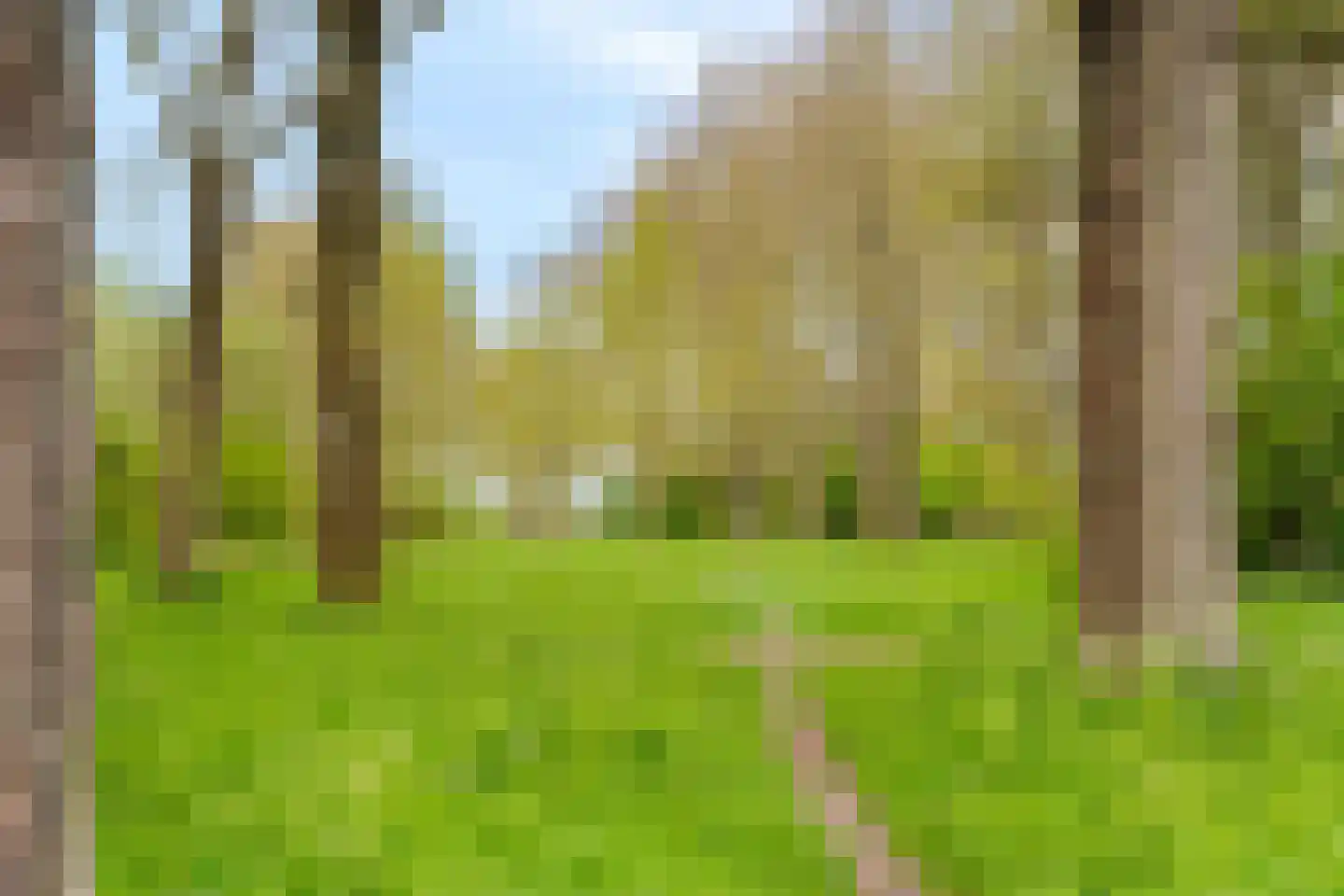 Donizettirode 38 Zoetermeer thumbnail 45
