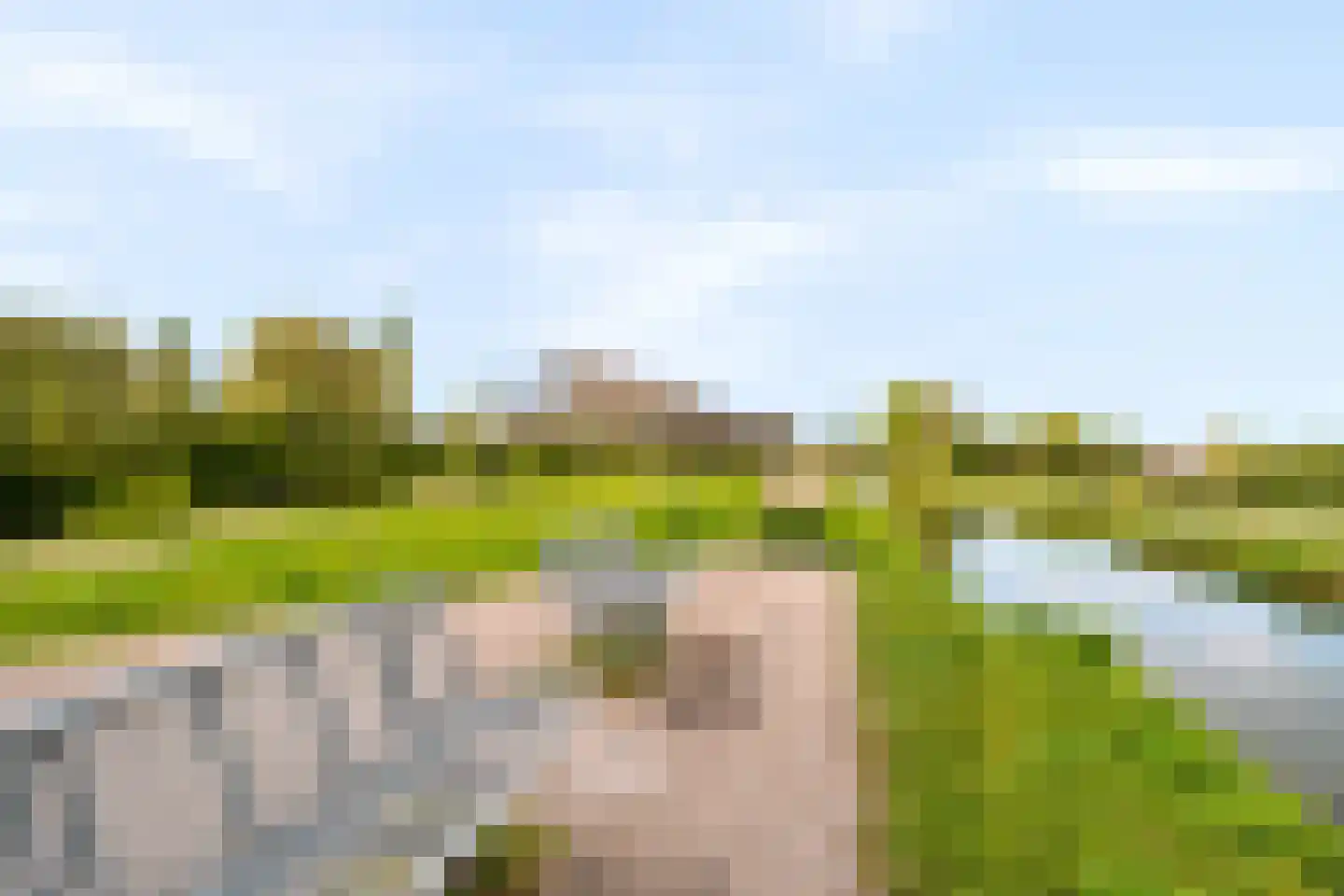 Donizettirode 38 Zoetermeer thumbnail 46