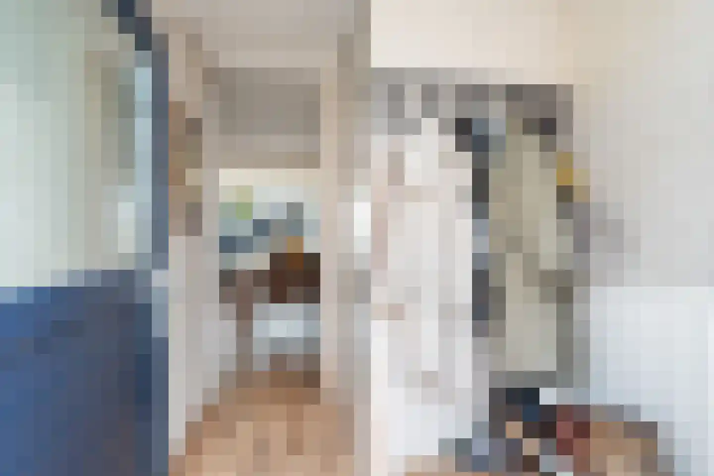 Donizettirode 38 Zoetermeer thumbnail 6