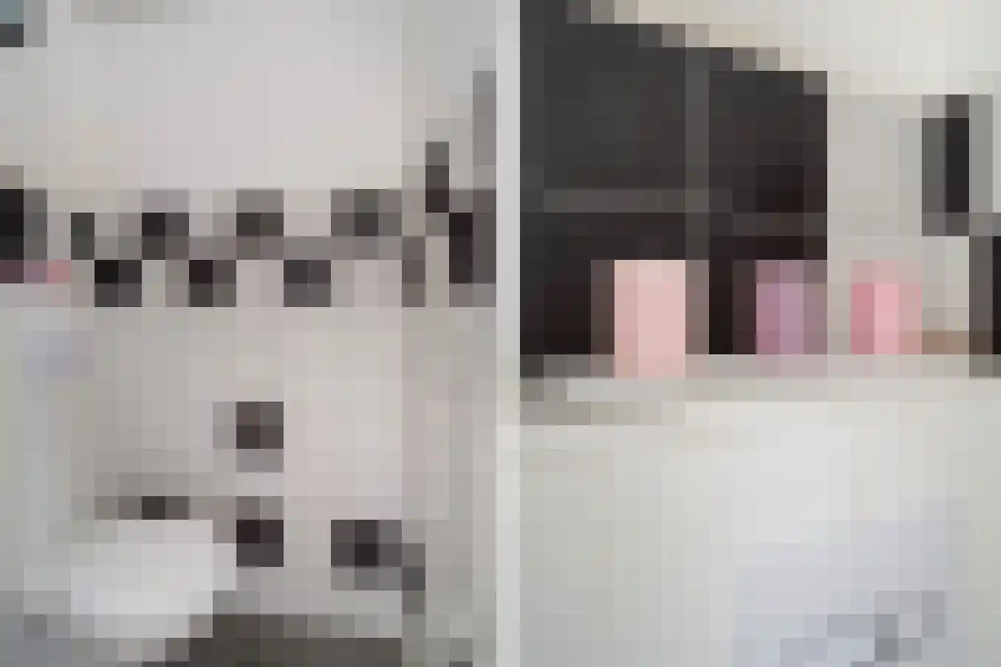 Donizettirode 38 Zoetermeer thumbnail 7
