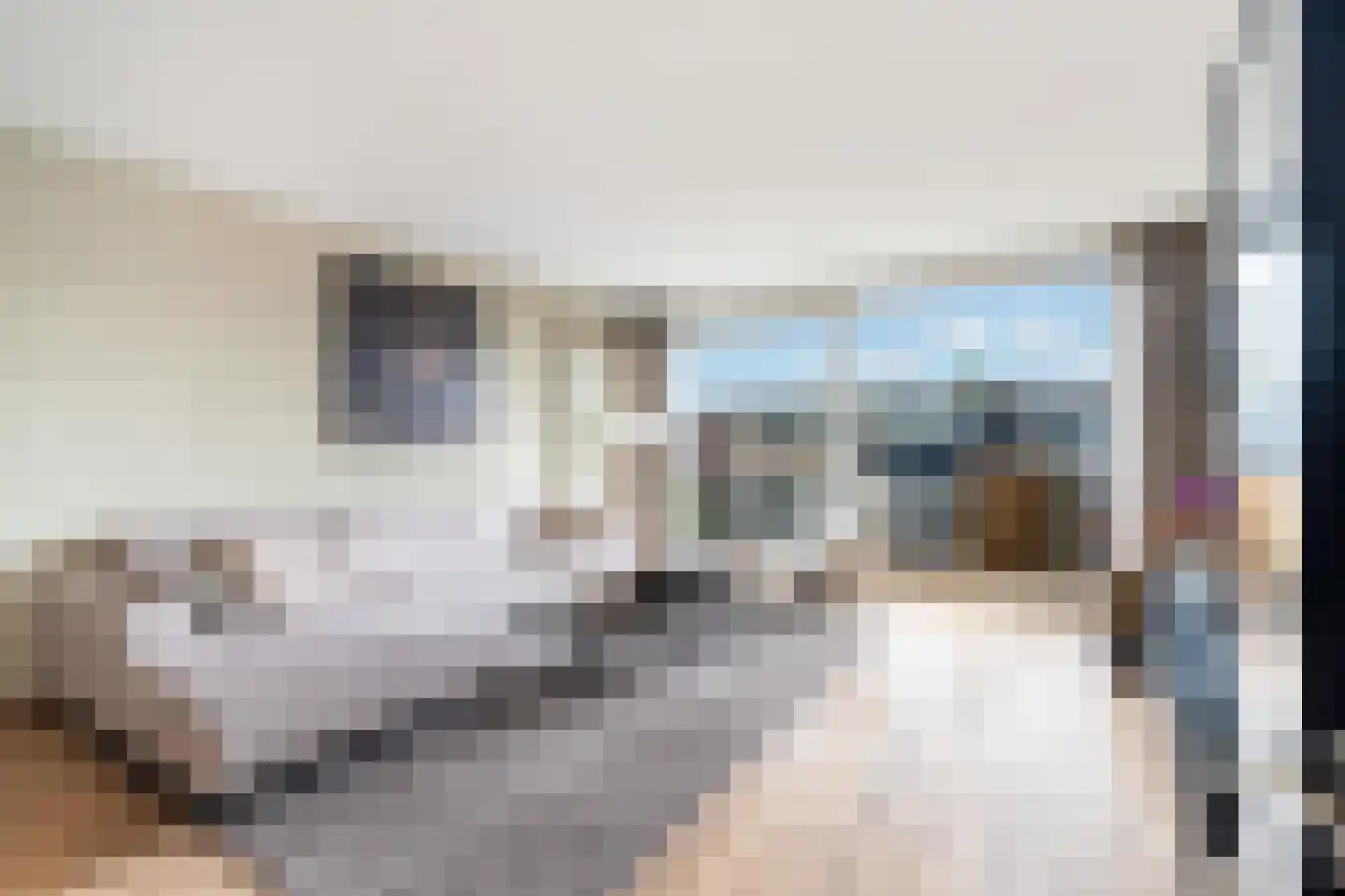 Donizettirode 38 Zoetermeer thumbnail 9